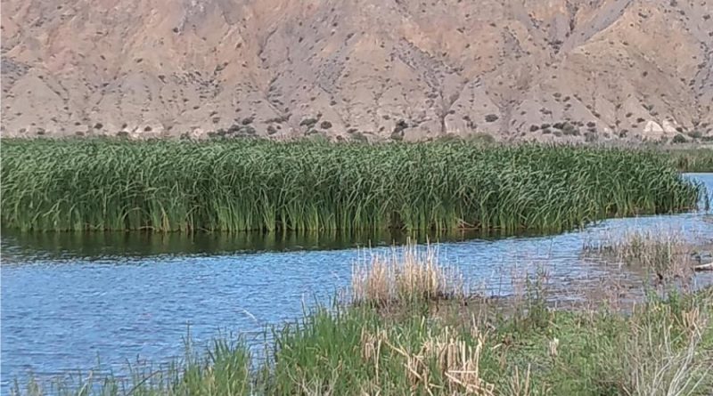 Visitas educativas nocturnas en el Parque Provincial Presidente Sarmiento de San Juan