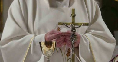 «Formarse para la Paz: desarmar la violencia en el mundo, la Iglesia y el clero»
