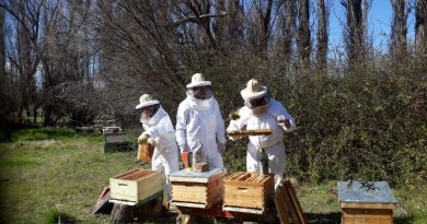 XIV Semana de la Miel Sanjuanina y su jornada de Capacitación