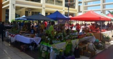 Feria de emprendedores sociales en el Día de los Reyes Magos en San Juan