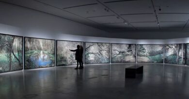 Temporada 2026 en el MPBAFR de San Juan