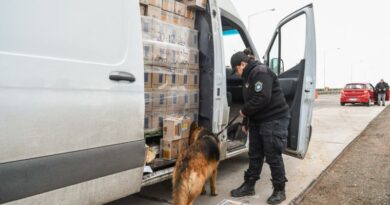 Las Provincias de San Juan y de Mendoza reforzaron los controles en el límite interprovincial 