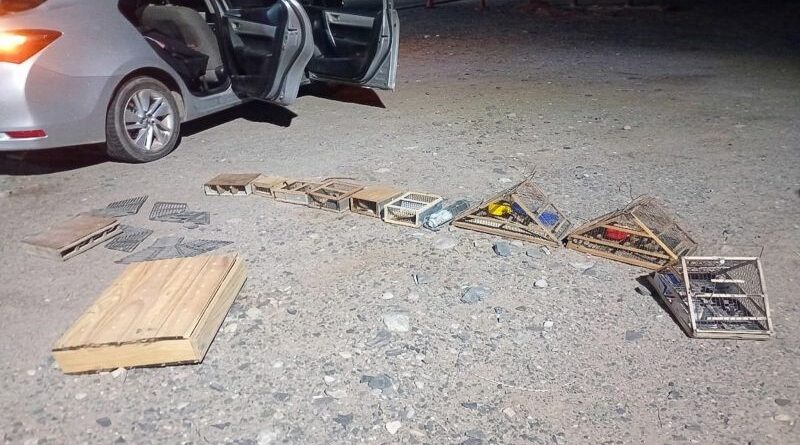 Operativo contra la captura ilegal de fauna en San Juan