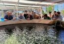 Generan información sobre los ambientes acuáticos de San Juan